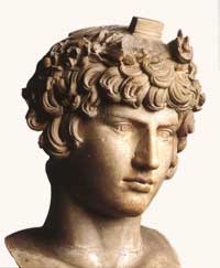Antinoo, busto