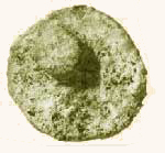 moneta prima della pulitura